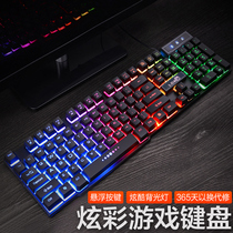 Mechanical feel keyboard mouse suit Game dedicated wired desktop computer notebook usb external office home typing girl cute e-sports eat chicken Portable net Red luminous peripherals