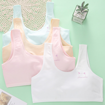 Pure Cotton Adolescent Underwear Junior High School Junior High School Students Mid 12-15 12-15-Year-Old Incubation Period Small Vest Summer Bra