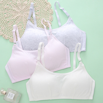 Developmental Adolescence Elementary School Children Vest Girls Junior High School Girls High School Girls Underwear Pure Cotton Bra Children Girl Inside Wear