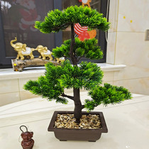 Simulation bonsai small ornaments fake tree potted green planting new Chinese style welcome pine tree plastic fake flower Interior decoration