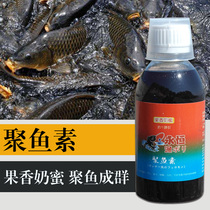 Eternal Fishing FISH FISH fish small medicine black pit carp small medicine wild fishing crucian carp bait fish bait attractant Herring