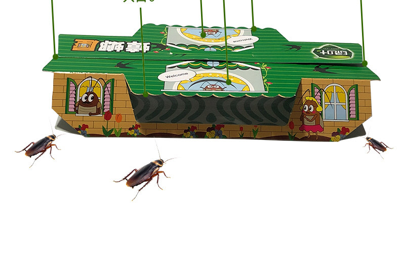 绿叶灭蟑螂屋贴捕捉杀蟑螂器抓小强厨房粘蟑螂小屋粘板家用10个装