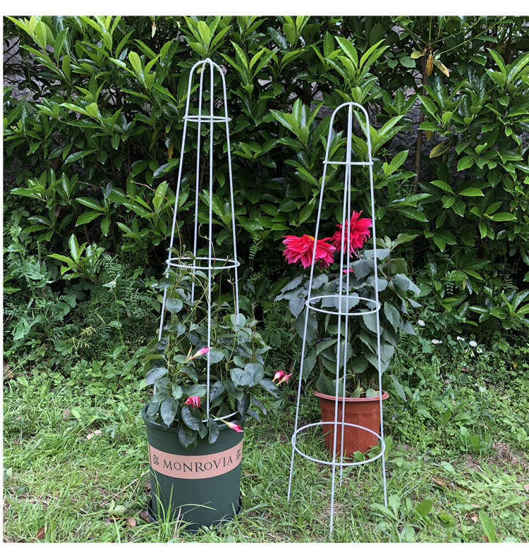 铁艺三环花园球兰月季花架铁线莲爬藤架支架杆攀藤植物花艺架子