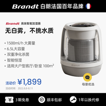 French White Lang Full House No Fog Humidifiers Home Germicidal Purifying Bedroom Living Room Living Room Pregnant baby hot and cold Steamed Hair