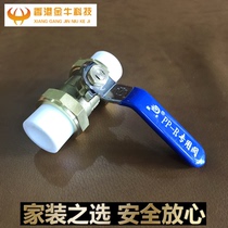 Zhendong full copper PPR double head live copper ball valve hot melt pipe valve 20 25 32PPR water pipe fittings