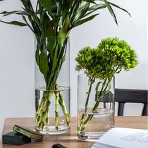 Wake Flowers Barrel Home Transparent Glass Deep Water Vases Nordic Flower Shop Exclusive Flowers Rich And Expensive Bamboo Straight Silo Big