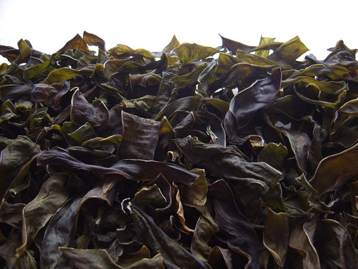 纯干裙带菜梗段淡干裙带菜干梗嫩梗干货100g出口无沙海藻2件包邮_双氙