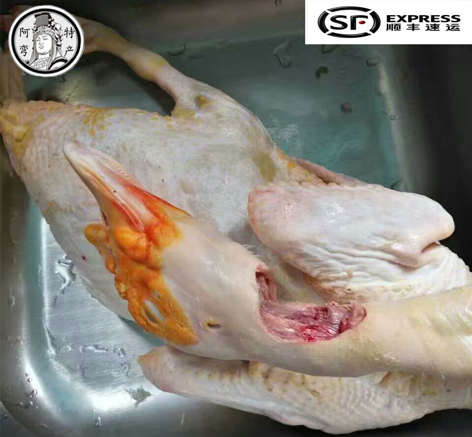 阿弯福建莆田正宗农家散养鸭子放养红脸番鸭子新鲜土鸭子顺丰包邮