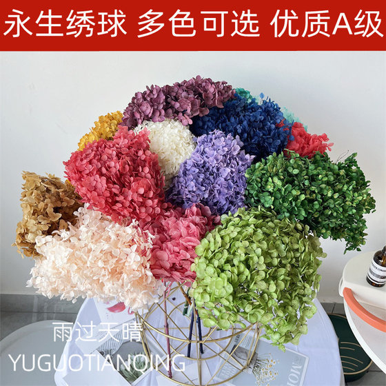 Eternal Life Flower Hydroplast Flower True Flower Bouquet Light Luxury Home Decoration Living Room Swing Flower and Plusal Yunnan Base Straight Hair Eternal Life Flower Hydroplast Flower True Flower Bouquet Light Luxury Home Decoration Living Room Swing Flower and Plusal Yunnan Base Straight Hair