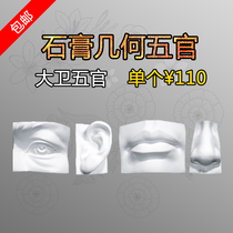 Express Plaster Geometry Facial features Large facial features 50 cm David Facial features Single 110