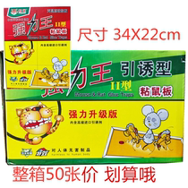Cats Powerful mouse plate catch plate catch rat plate to catch the whole box 50 price hotel supermarket kindergarten mall for use