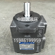 HONGTAI vane oil pump PV2R1-4F 6F 8 10F 12 14 17 19 23 25F 28 31F