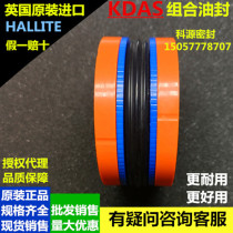 Import combination seal DAS70 * 54 70*58 70*50 75*55 75*59 80*60 HALLITE
