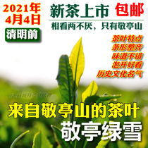 Jingting green snow listed in 2021 Xuancheng specialty Jingting Mountain tea spring tea new tea 100g