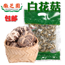 White flower mushroom Xuancheng local specialty Huizhiyuan brand kitchen gourmet Shanzhen dried vegetables bagged 200g