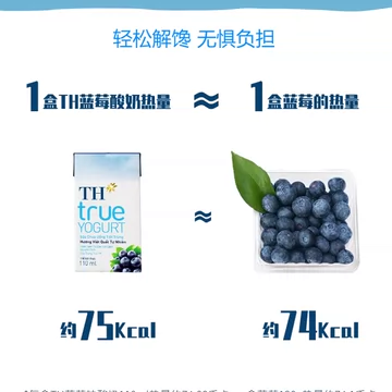 越南TH蓝莓味酸奶常温整箱囤货[3元优惠券]-寻折猪