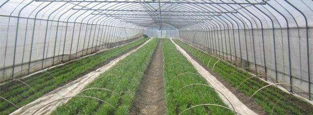 育苗电热温床用土壤加热线地热线蔬菜大棚基质加温线100米1000w