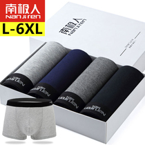 Antarctic mens underwear mens cotton plus fertilizer plus size boxer high elastic 200 catties fat loose boxer