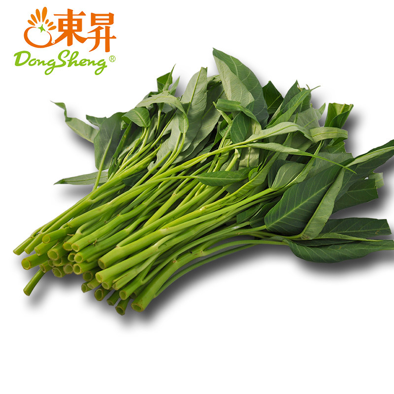 东升农场 通菜 空心菜竹叶菜 华东地区蔬菜新鲜配送 300g