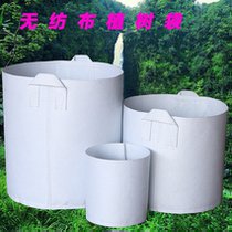 Thickened anti-aging tree planting bag non-woven bag beauty planting bag tree planting bag seedling bag nutrition bag factory direct sales