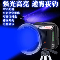 Leader Floodlight Charging Super Bright High Power Blue Light Fishing Light Night Fishing lamp flashlight Purple Light Bench Fishing