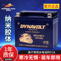 Lion Motorcycle Cell YTX9 GW250 Huang Long 600CT300 Benalli 12V Universal Original DL lithium