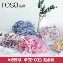 Rose gradient domestic hydrangea middle leaf big leaf permanent flower wood hydrangea small leaf purple Yang with flower diy material bag