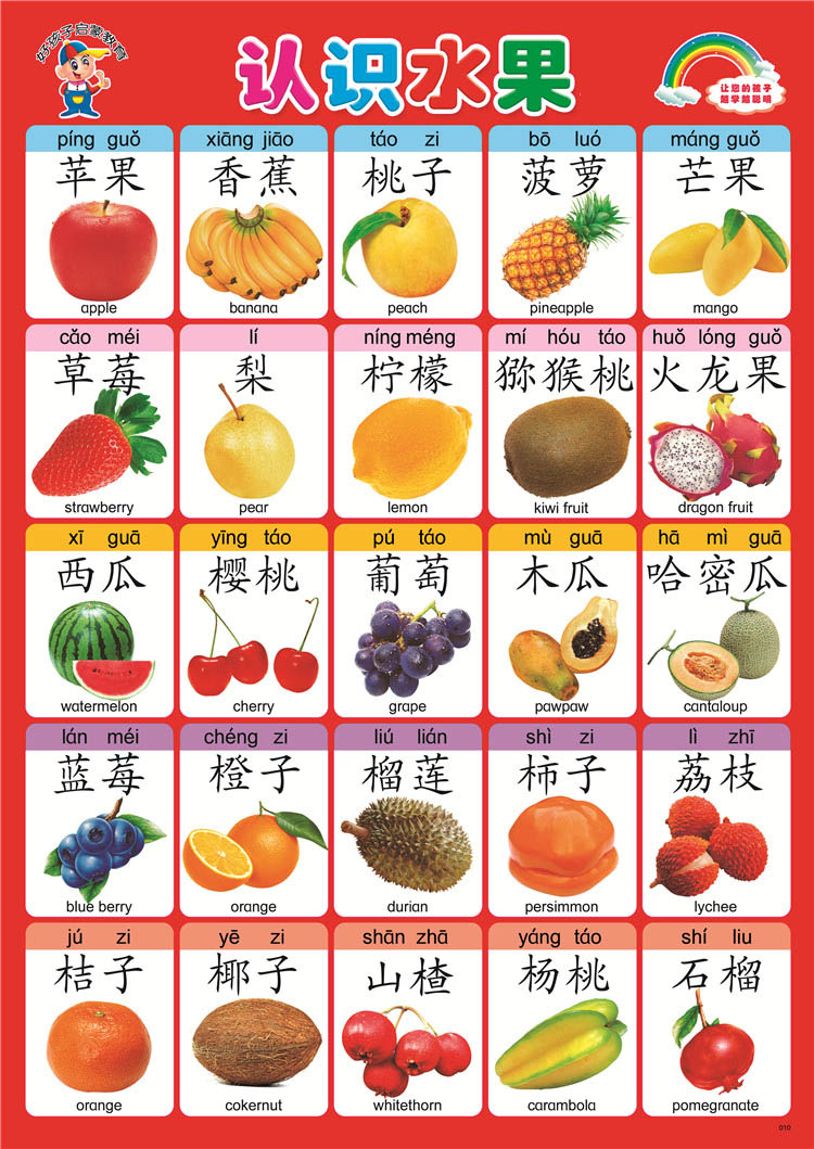 宝宝挂图幼儿童早教拼音挂图 婴儿挂图认知启蒙 识字挂图无声卡片