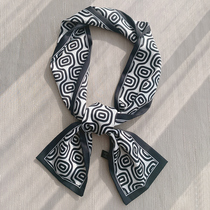 Small silk scarf ins Korean small scarf womens new Joker thin narrow long strip bag strap print ribbon