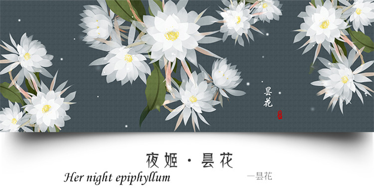 中国风工笔昙花新中式壁纸卧室客厅个性艺术电视背景墙纸定制壁画