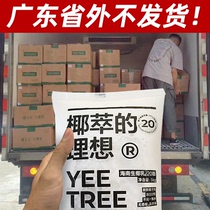 The Kings Head Raw Coconut Broccoli Coconut Palm coconut Coconut Broccoli Coconut Milk Tea Shop Exclusive Raw Materials Commercial