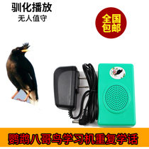 High-quality birds use happy learning machines starlings wrens parrots learn to talk learn to talk learn to talk all over the country