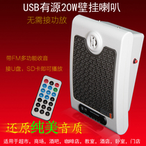 Electrify to play sound box active wall-mounted horn 20W wall-mounted sound can be plugged in U disc broadcast without power amplifier