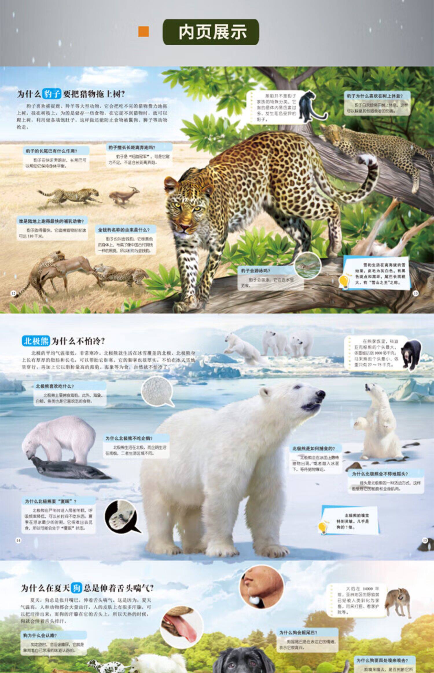 图解版 动物世界 精装版中国少年儿童科普百科全书十万个为什么全脑