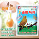 Guizhou Miaoge thrush bird feed 500g ໂພຊະນາການເສີມແລະ fattening singing bird special bird feed ຂອງແທ້ສົ່ງຟຣີ