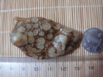 Gobi Meridian gangue agate Meridian gangue raw stone Gobi Meridian agate raw stone