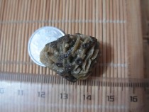 Alxa flower vein agate color tendon vein agate original stone muscle vein stone meridian gangue bead