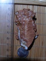 Pure natural Alxa Gobi wind Stone original stone pictographic stone landscape stone fish cylinder stone