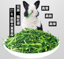 2 pieces of new barley grass section 500g Dutch pig rabbit Chinchilla hay feed hamster litter