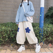 Small Flower Pants Spring Autumn Casual Pants Woman Spring Dress 2022 New Day Ensemble Straight Barrel Pants Broadlegged Pants Students 90% Pants