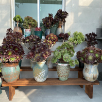 Carbonated Wood Balcony Solid Wood Ground Flower Shelf Stepped Floor Multi-Meat Flower Racks Gardening Courtyard Single Shelf