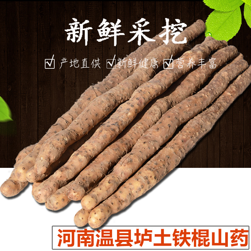 沁水岸 焦作溫縣鐵棍山藥 5斤