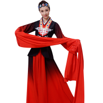 Sleeve Dance Dance Dance costume female ancient Chinese clothing dance water sleeve clothing adult women group dance classical dance clothing customization