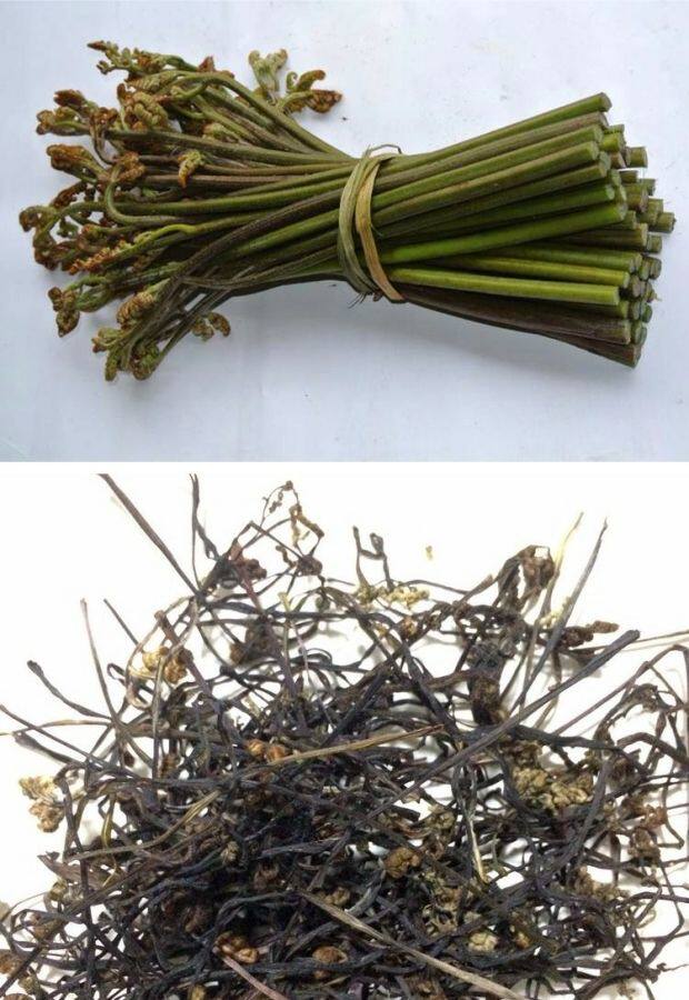 2017年贵州农家自晒野生干蕨菜 龙爪菜干 蕨菜干野生干菜500g包邮_双