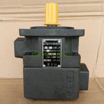 Xianju pump YB-D32 YB-D40 YB-D50 YB-D63 YB-D80 YB-D100 oil pump