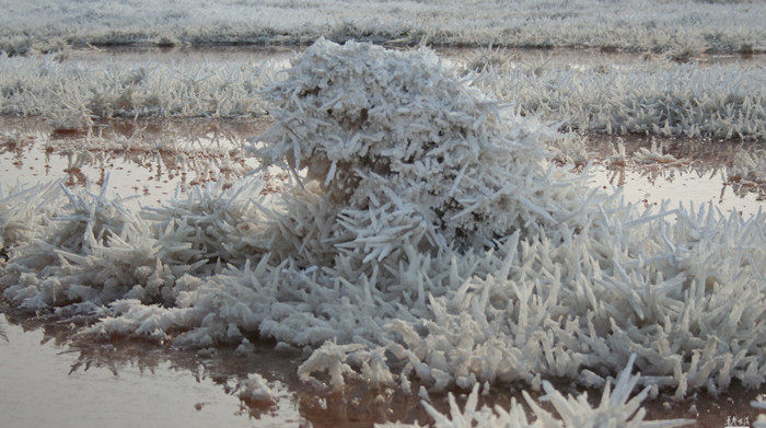 中药材芒硝 皮硝 朴硝硭硝忙硝退奶专用500克药用满5斤包邮芒硝块