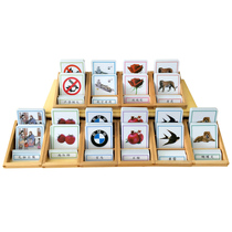 Montessori animal and plant science teaching aids three-segment part card transportation language literacy association promotion
