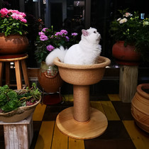 Meow Fairy Cat Climbing Swords Pelvis Cat Grabbing board Catcat Cat Toy Cat Toy Cat Jumping to Cat Tree Kitty Grindle