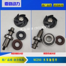 NC250 water pump shaft Huayang Bozol Beihai distinguished Zong Shen RX3 NC250 water pump shaft mechanical water seal oil seal