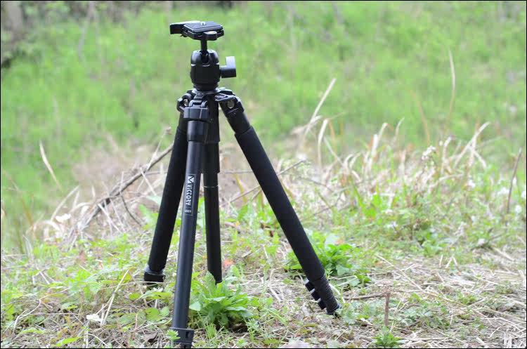 维特利4001 专业三角架 数码单反相机550d 600d三脚架含云台 包邮